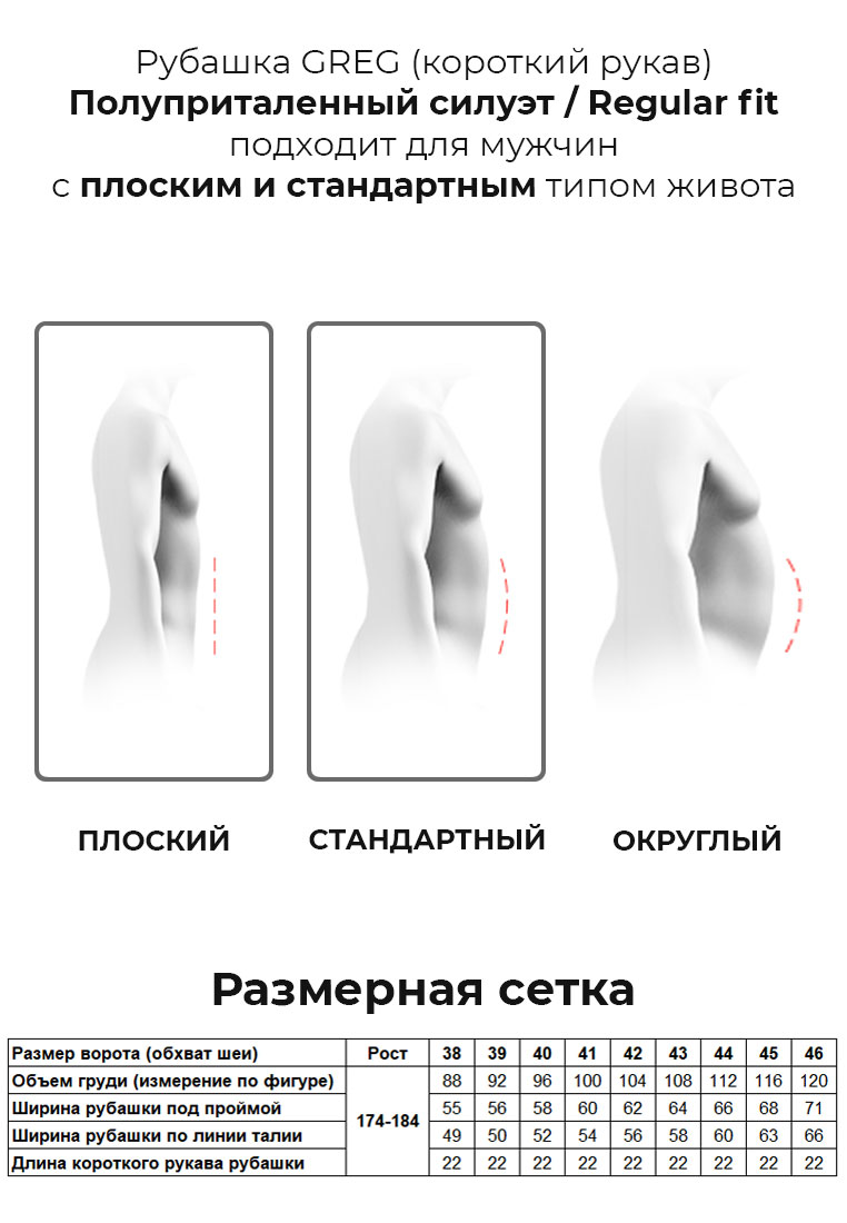210/109/CL/Z/1p Сорочка мужская короткий рукав