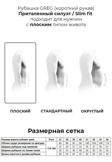 163/209/2107/ZV/1 Сорочка мужская короткий рукав