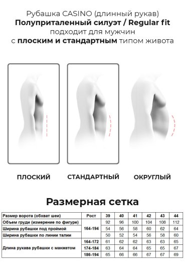 c221/157/2916/Z/1 Сорочка мужская длинный рукав