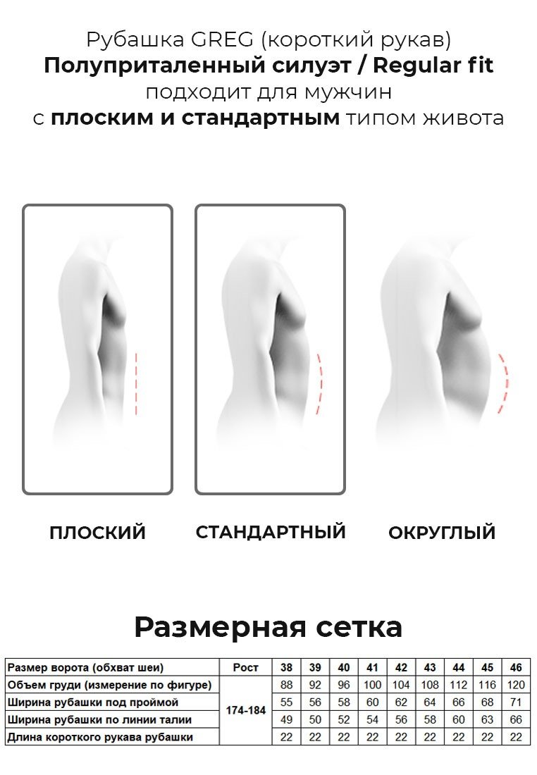 Gb675/301/519/Z Сорочка мужская короткий рукав