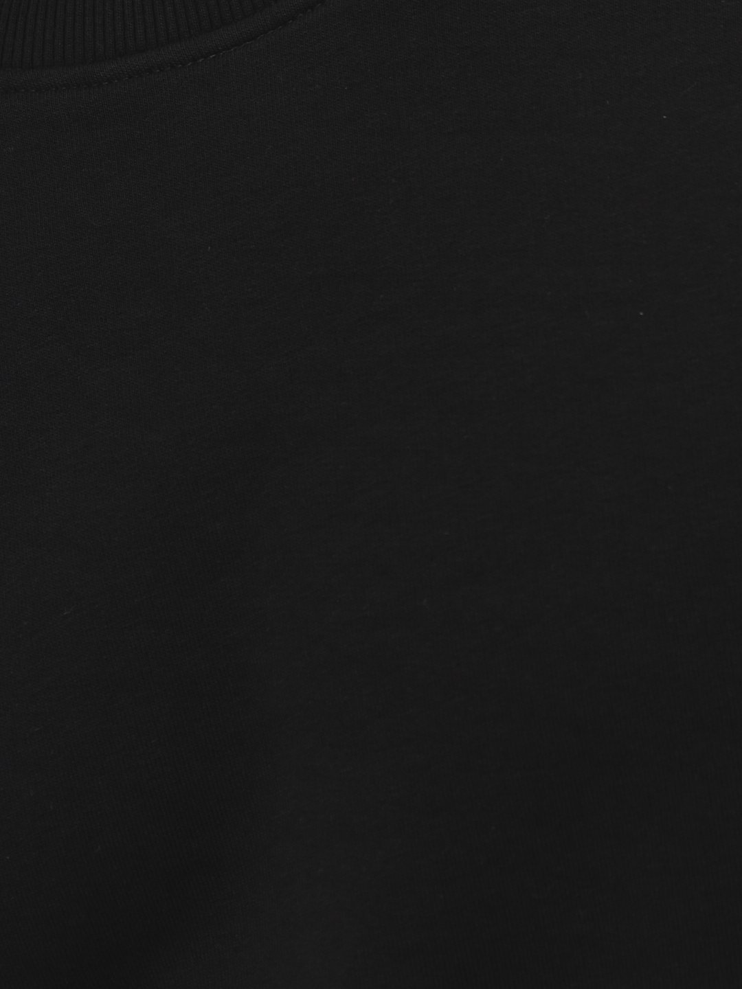 G121-OZ03-31 (черный) Свитшот мужской