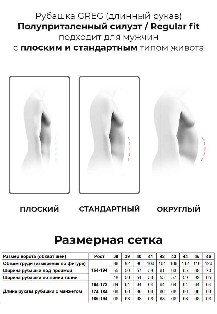 223/111/238/Z/1 Сорочка мужская длинный рукав
