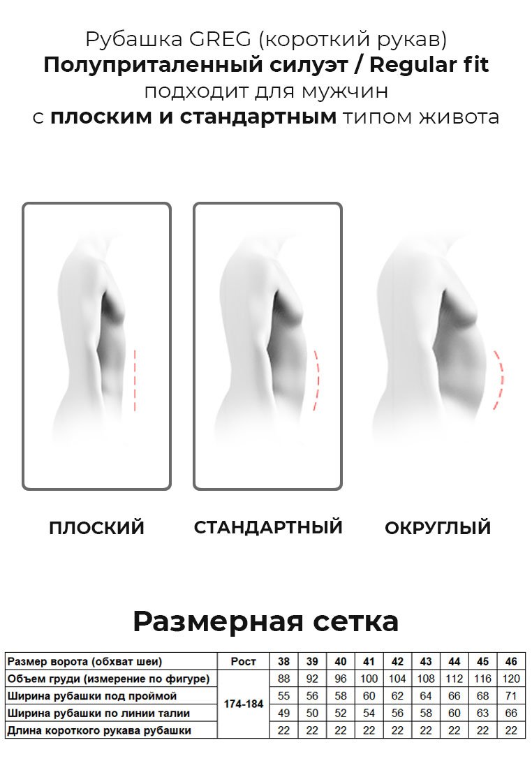 213/101/8717/Z/1p Сорочка мужская короткий рукав