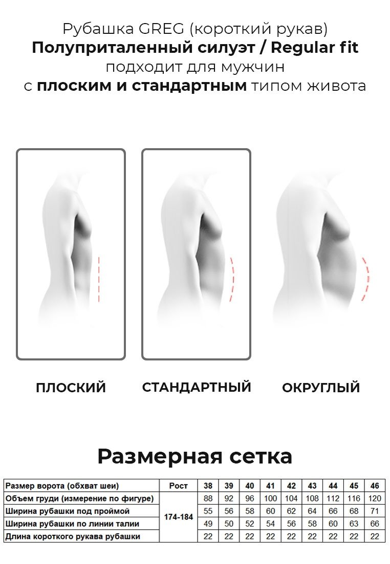 Gb175/309/56/Z/1 Сорочка мужская короткий рукав