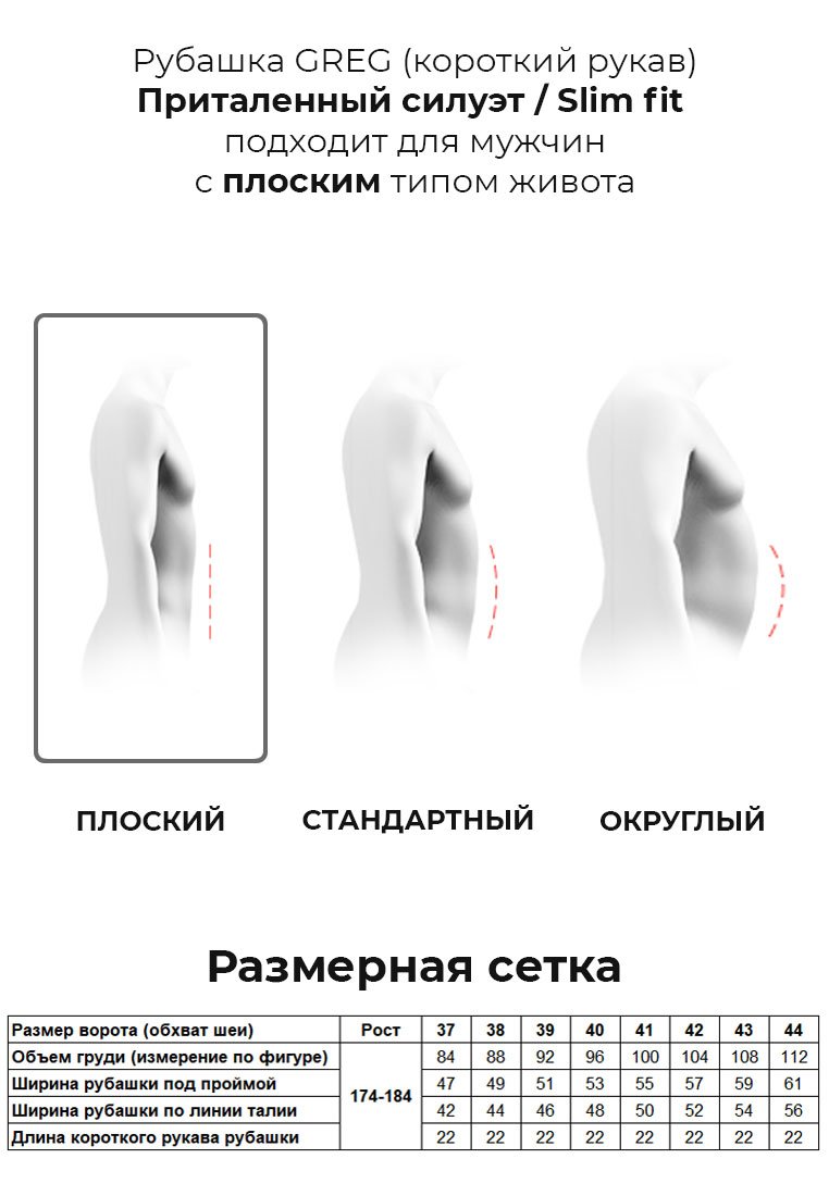 220/208/ZV/P STRETCH Сорочка мужская короткий рукав